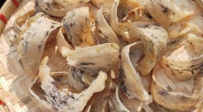 Bảo quản yến th&ocirc; đ&uacute;ng c&aacute;ch: Giữ yến lu&ocirc;n tươi ngon, kh&ocirc;ng bị mốc