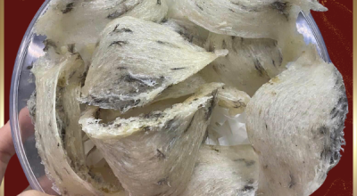 Yến Th&ocirc; Nguy&ecirc;n Chất: B&iacute; Quyết V&agrave;ng Cho Sức Khỏe Tuyệt Vời